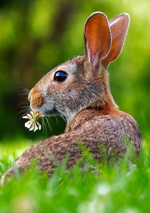 In the spring, at the end of the day, you should smell like dirt